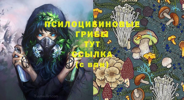 мескалин Балахна