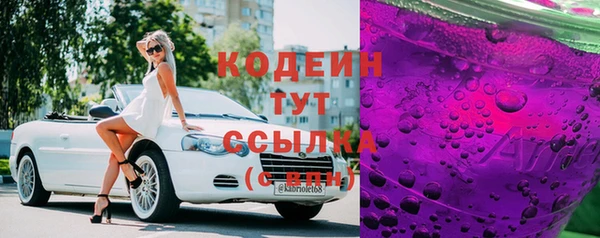 гашик Новозыбков