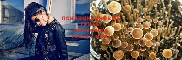 мескалин Балахна